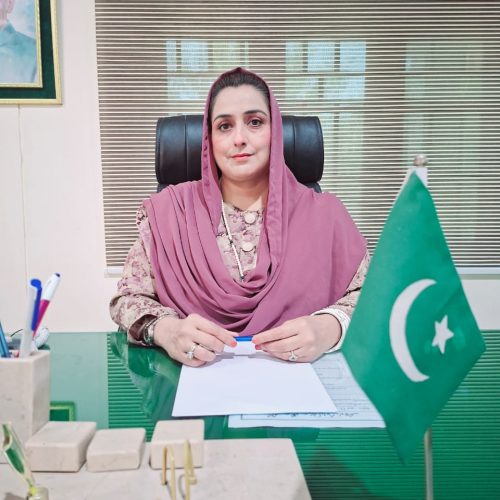 afia saadat afia saadat